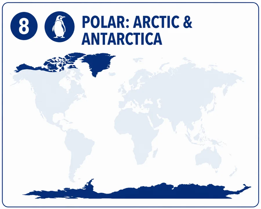 Map highlighting the Arctic and Antarctica