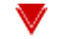 Virgin Voyages logo
